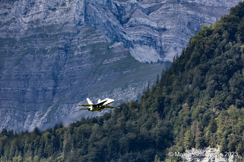 ER3_0253.jpg